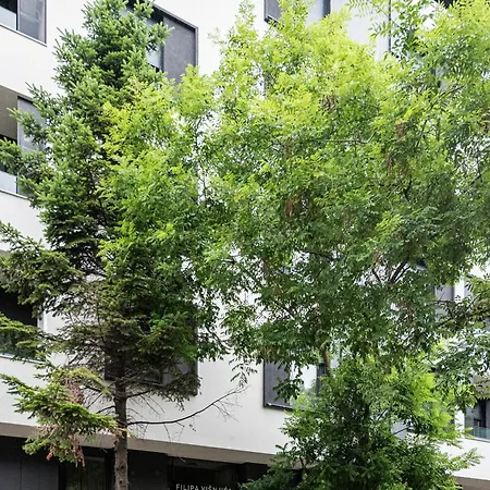דירה Vertigo One Bedroom - Free Private Parking-fast Wi-fi נובי סאד